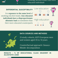 Education and Allostatic Load