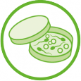 Icona Scienze biologiche e Scienze Biomediche