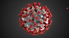 Image of Coronavirus